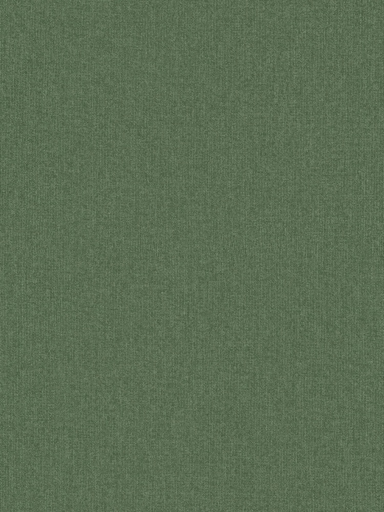 Graham & Brown Palm Country Home A4 Sample - Image 2 of 4