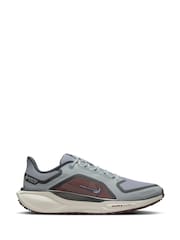 Nike Grey/White Pegasus 41 GORE-TEX Trail Running Trainers - Image 1 of 12