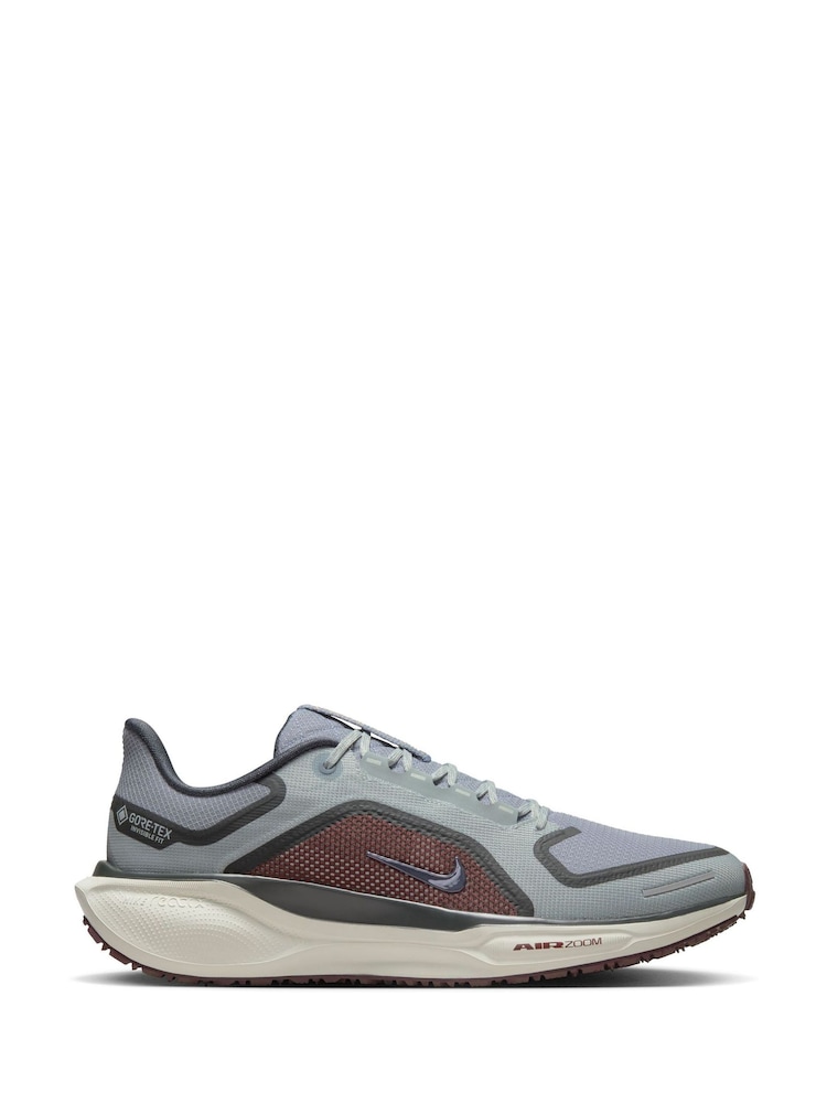 Nike Grey/White Pegasus 41 GORE-TEX Trail Running Trainers - Image 1 of 12