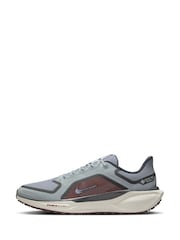 Nike Grey/White Pegasus 41 GORE-TEX Trail Running Trainers - Image 5 of 12