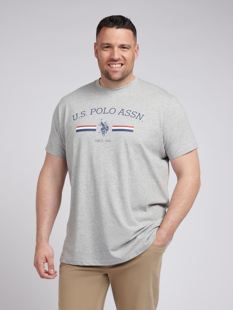 U.S. Polo Assn. Grey Mens Big & Tall Stripe Rider 100% Cotton T-Shirt - Image 1 of 6