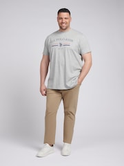 U.S. Polo Assn. Grey Mens Big & Tall Stripe Rider 100% Cotton T-Shirt - Image 3 of 6