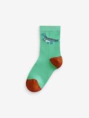 Brown/Green/Navy Blue Dinosaurs Print Rich Socks 5 Pack - Image 3 of 6