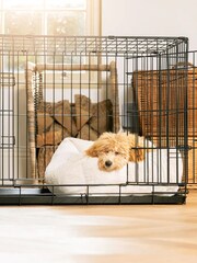 Lords and Labradors Cream Faux Fur Cosy And Calm Puppy Bed - Image 2 of 6
