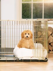 Lords and Labradors Cream Faux Fur Cosy And Calm Puppy Bed - Image 4 of 6