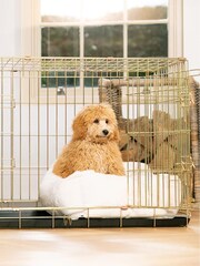 Lords and Labradors Cream Faux Fur Cosy And Calm Puppy Bed - Image 5 of 6
