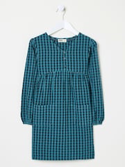 FatFace Polly Blue Gingham Dress - Image 1 of 4