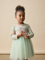 Green Long Sleeve Mesh Dress (3mths-7yrs) - Image 1 of 7