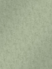 Graham & Brown Green Organdy Silk Wallpaper - Image 2 of 3