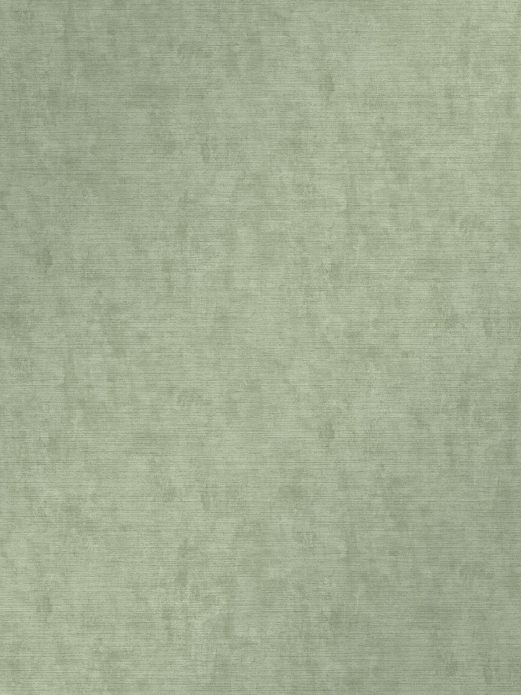 Graham & Brown Green Organdy Silk Wallpaper - Image 2 of 3