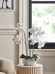 Silver/White Artificial Real Touch Orchid in Geo Pot - Image 1 of 4