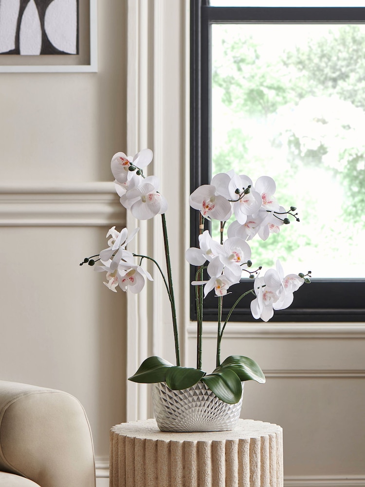 Silver/White Artificial Real Touch Orchid in Geo Pot - Image 1 of 4