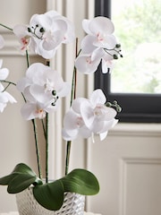 Silver/White Artificial Real Touch Orchid in Geo Pot - Image 2 of 4