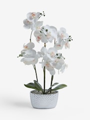 Silver/White Artificial Real Touch Orchid in Geo Pot - Image 3 of 4