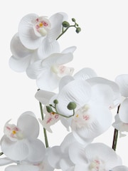Silver/White Artificial Real Touch Orchid in Geo Pot - Image 4 of 4