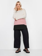Yours Curve Multi Colourblock Jumper - Image 2 of 4