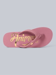 Animal Pink Womens Slim Swish Flip Flops - Image 2 of 5