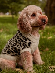 Neutral Brown Animal Dog Jumper - Image 1 of 6