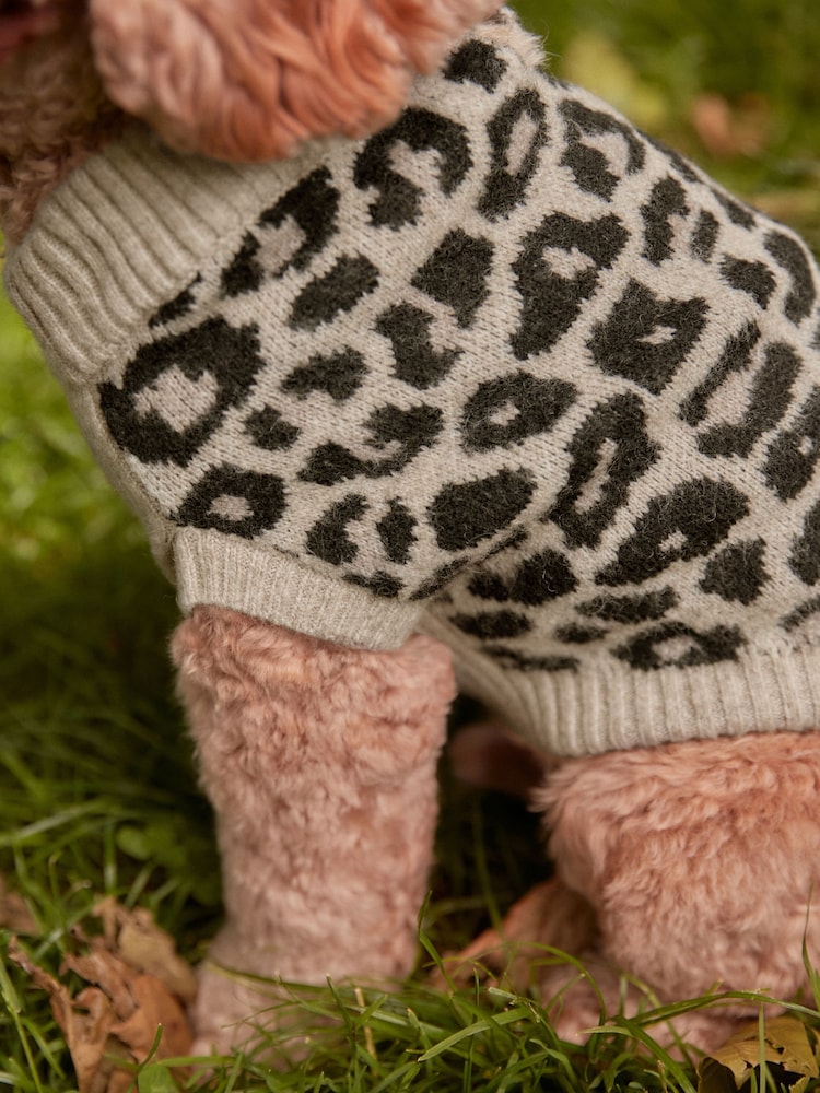 Knitted Jumper Dog Print Sweater Buy Neutral Brown Animal Dog