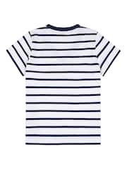 U.S. Polo Assn. Blue Regular Fit Womens Slub Stripe V-Neck 100% Cotton T-Shirt - Image 6 of 7