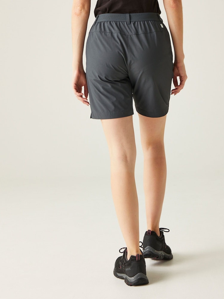 Grau - Regatta Mountain II Walking Shorts - Bild 2 von 7