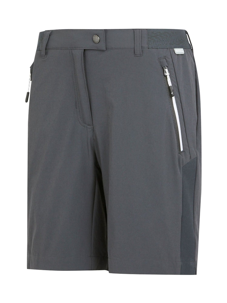 Grau - Regatta Mountain II Walking Shorts - Bild 7 von 7
