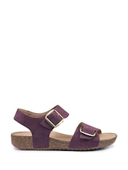 Hotter Purple Regular Fit Tourist II Buckle Sandals - Image 1 of 4