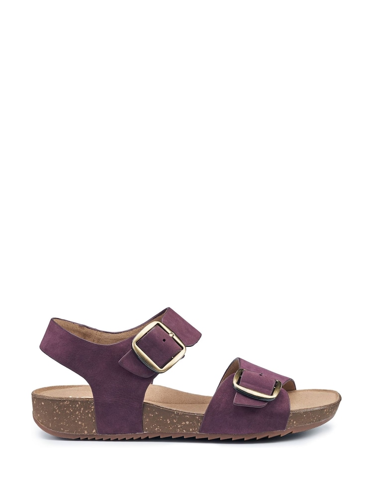Hotter Purple Regular Fit Tourist II Buckle Sandals - Image 1 of 4