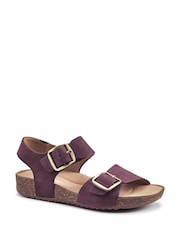 Hotter Purple Regular Fit Tourist II Buckle Sandals - Image 2 of 4