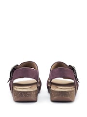 Hotter Purple Regular Fit Tourist II Buckle Sandals - Image 4 of 4