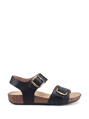 Hotter Black Wide Fit Tourist II Buckle Sandals - Image 1 of 4