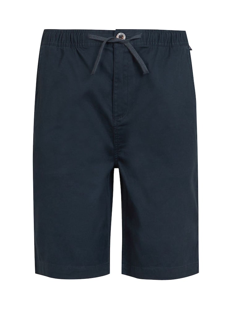 Regatta Blue Aldan Chino Shorts - Image 4 of 7
