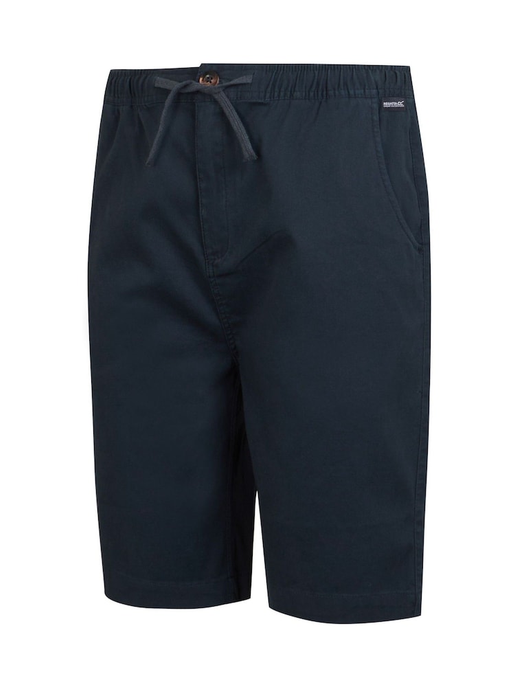 Regatta Blue Aldan Chino Shorts - Image 6 of 7