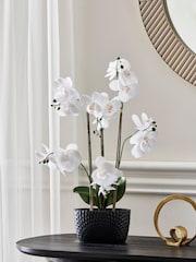 Black/White Artificial Real Touch Orchid in Geo Pot - Image 1 of 4