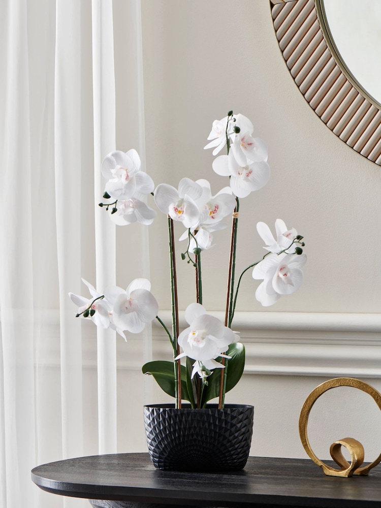 Black/White Artificial Real Touch Orchid in Geo Pot - Image 1 of 4