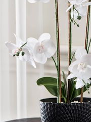 Black/White Artificial Real Touch Orchid in Geo Pot - Image 2 of 4