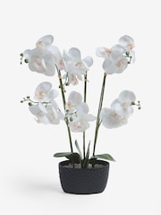 Black/White Artificial Real Touch Orchid in Geo Pot - Image 3 of 4