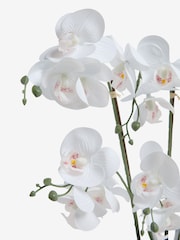 Black/White Artificial Real Touch Orchid in Geo Pot - Image 4 of 4