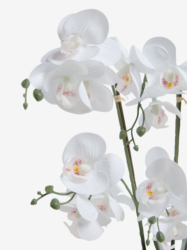 Black/White Artificial Real Touch Orchid in Geo Pot - Image 4 of 4