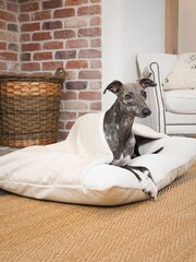 Lords and Labradors Bone Savanna Sleepy Burrows Dog Bed - Image 1 of 5
