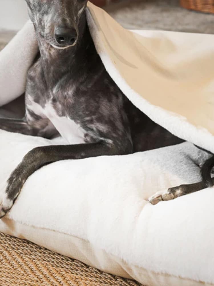 Lords and Labradors Bone Savanna Sleepy Burrows Dog Bed - Image 2 of 5