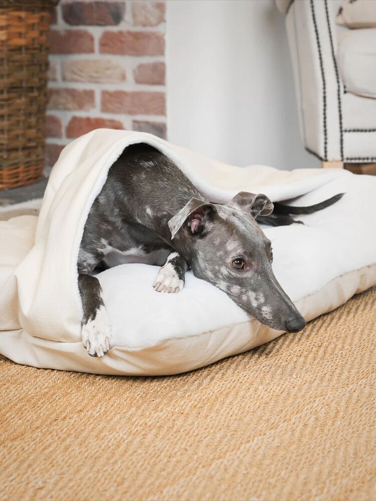 Lords and Labradors Bone Savanna Sleepy Burrows Dog Bed - Image 5 of 5