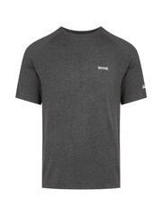 Regatta Grey Ambulo II Gym T-Shirt - Image 5 of 7