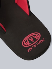 Animal Black Kids Jekyl Flip-Flops - Image 5 of 5