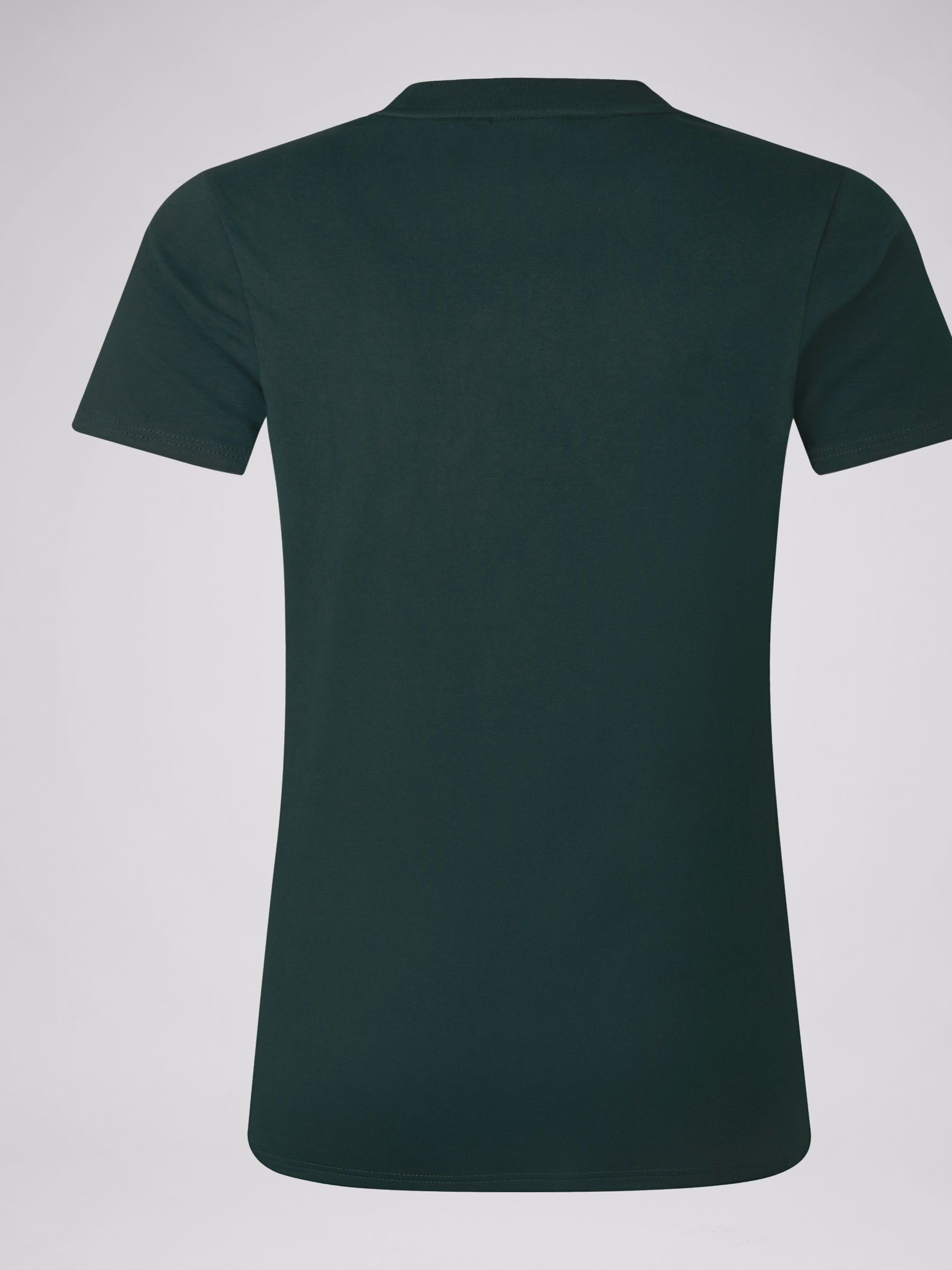 Buy Canterbury Green British & Irish Lions Rugby Cotton Jersey T
