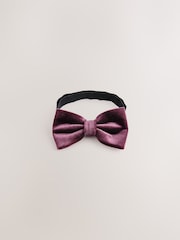 Burgundy Red Velvet Bow Tie and Braces - Image 4 of 6