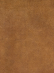 Barker and Stonehouse Brown Kansas Leather Loveseat - Image 7 of 7