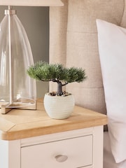 Green Artificial Mini Bonsai - Image 1 of 4