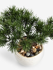 Green Artificial Mini Bonsai - Image 4 of 4