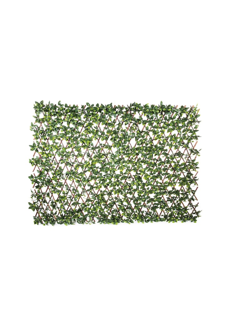 Premier Decorations Ltd Green Gardenia Leaves Willow Garden Trellis - Image 2 of 3